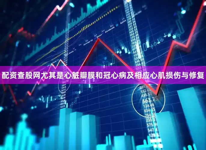 配资查股网尤其是心脏瓣膜和冠心病及相应心肌损伤与修复