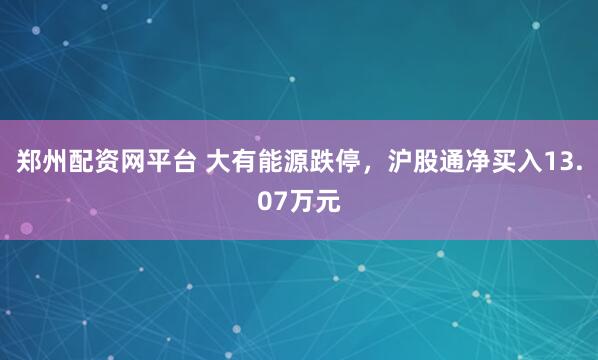 郑州配资网平台 大有能源跌停，沪股通净买入13.07万元