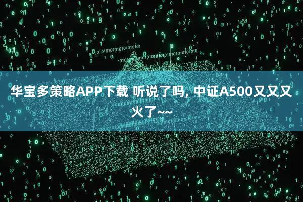 华宝多策略APP下载 听说了吗, 中证A500又又又火了~~