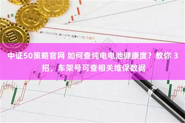 中证50策略官网 如何查纯电电池健康度？教你 3 招，车架号可查相关维保数据